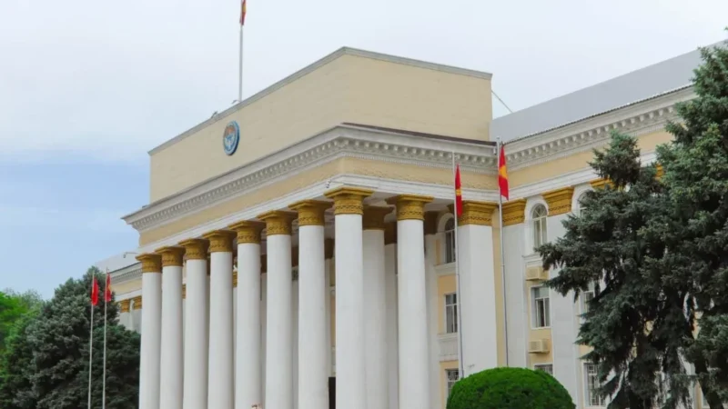 ТИМ: Иракта кармалган жаран Кыргызстанга кайтып келди