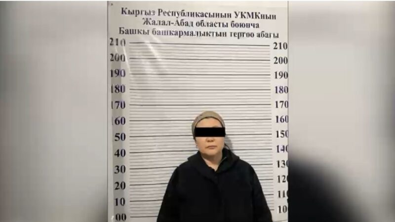 Манас шаарында үйүнө «чёрный ломбард» уюштурган аял кармалды