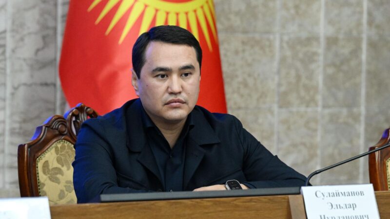 Элдар Сулайманов мандатын тапшыруу боюнча БШКга арыз берди