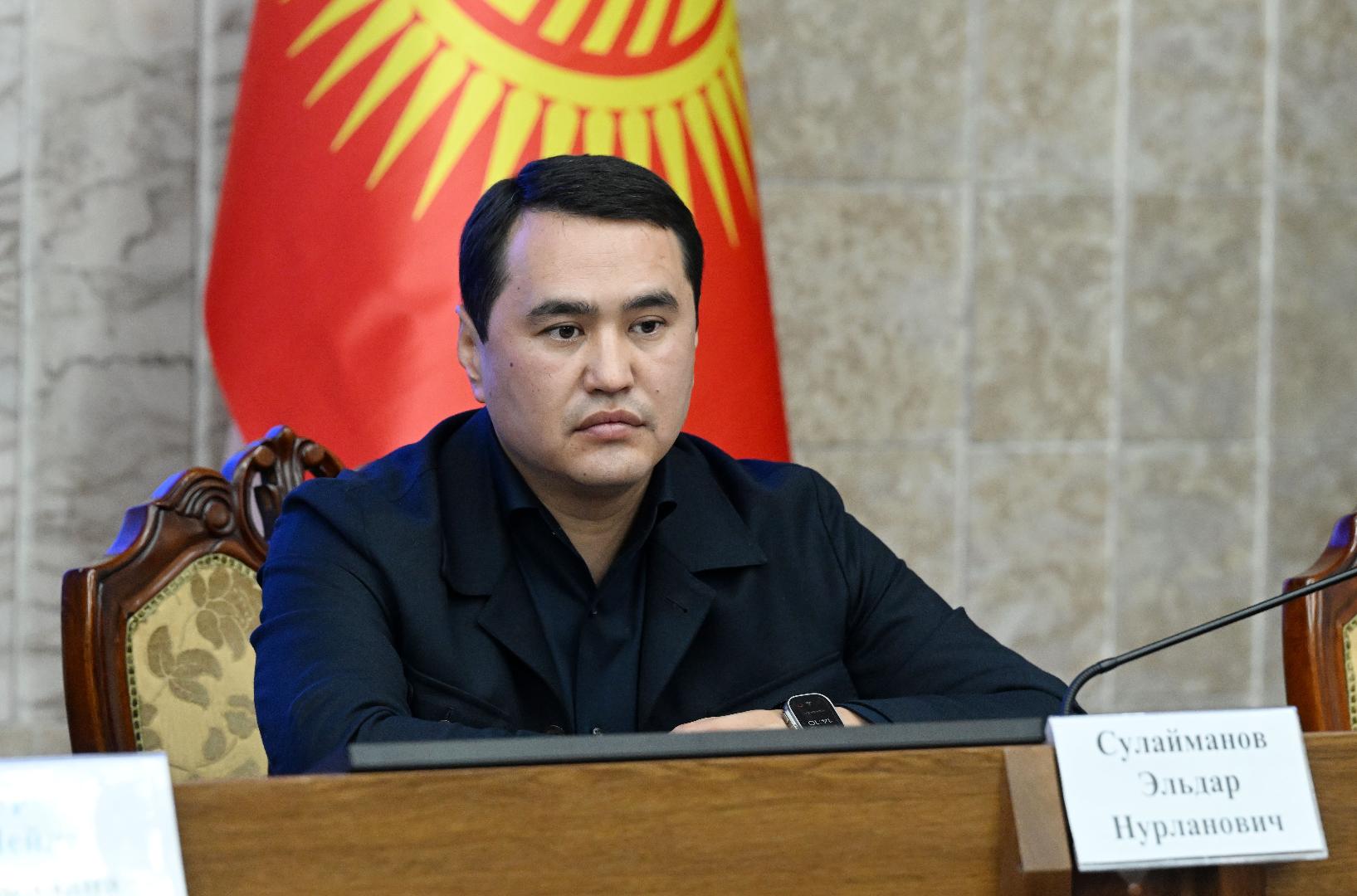 Элдар Сулайманов мандатын тапшыруу боюнча БШКга арыз берди