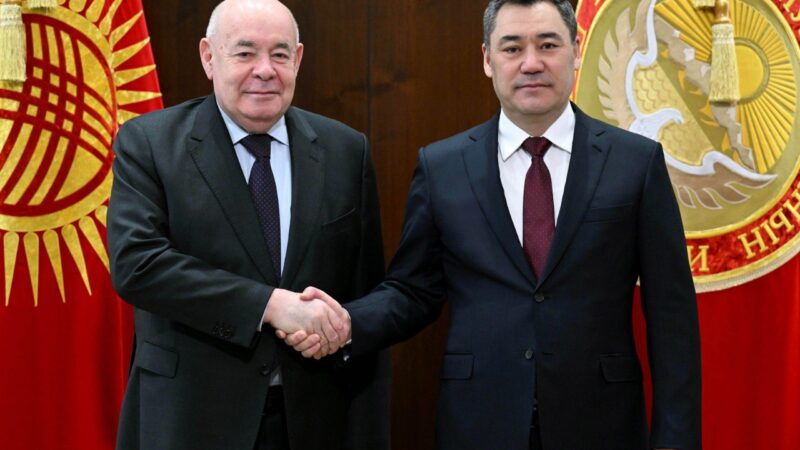  Садыр Жапаров Михаил Швыдкойду кабыл алды