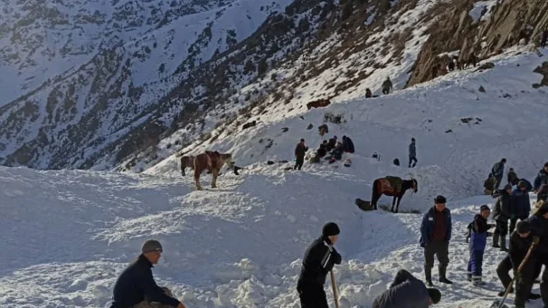 Куткаруучулар изделип жаткан 37 жаштагы жарандын сөөгүн табышты