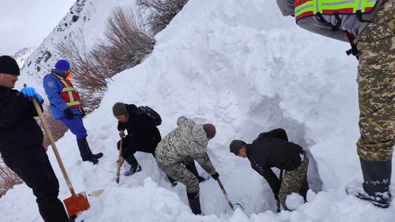 Куткаруучулар кар астында калган чабанды издөөнү улантууда