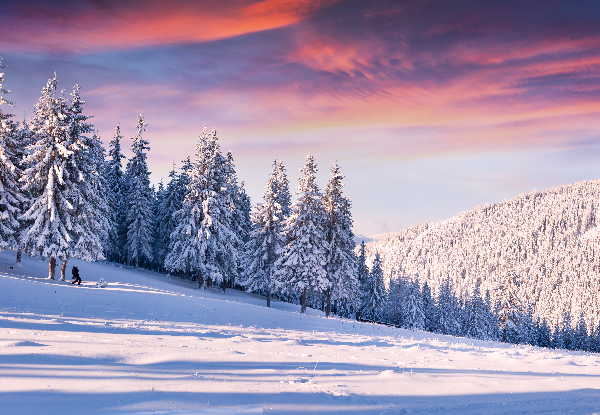 Кутман таң, окурманым. Максатка жетүү мүмкүн эместей сезилсе, максаты эмес – ага жетүүнүн жолдорун кайра карап чыгыңыз