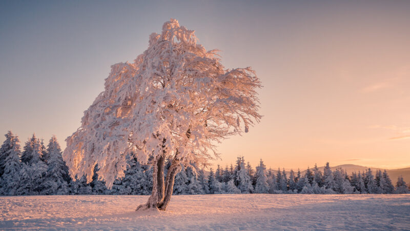 Агарган таңда ырыскы бар, Ар таңда артсын ырыскыңар. Кутман таң, окурманым!