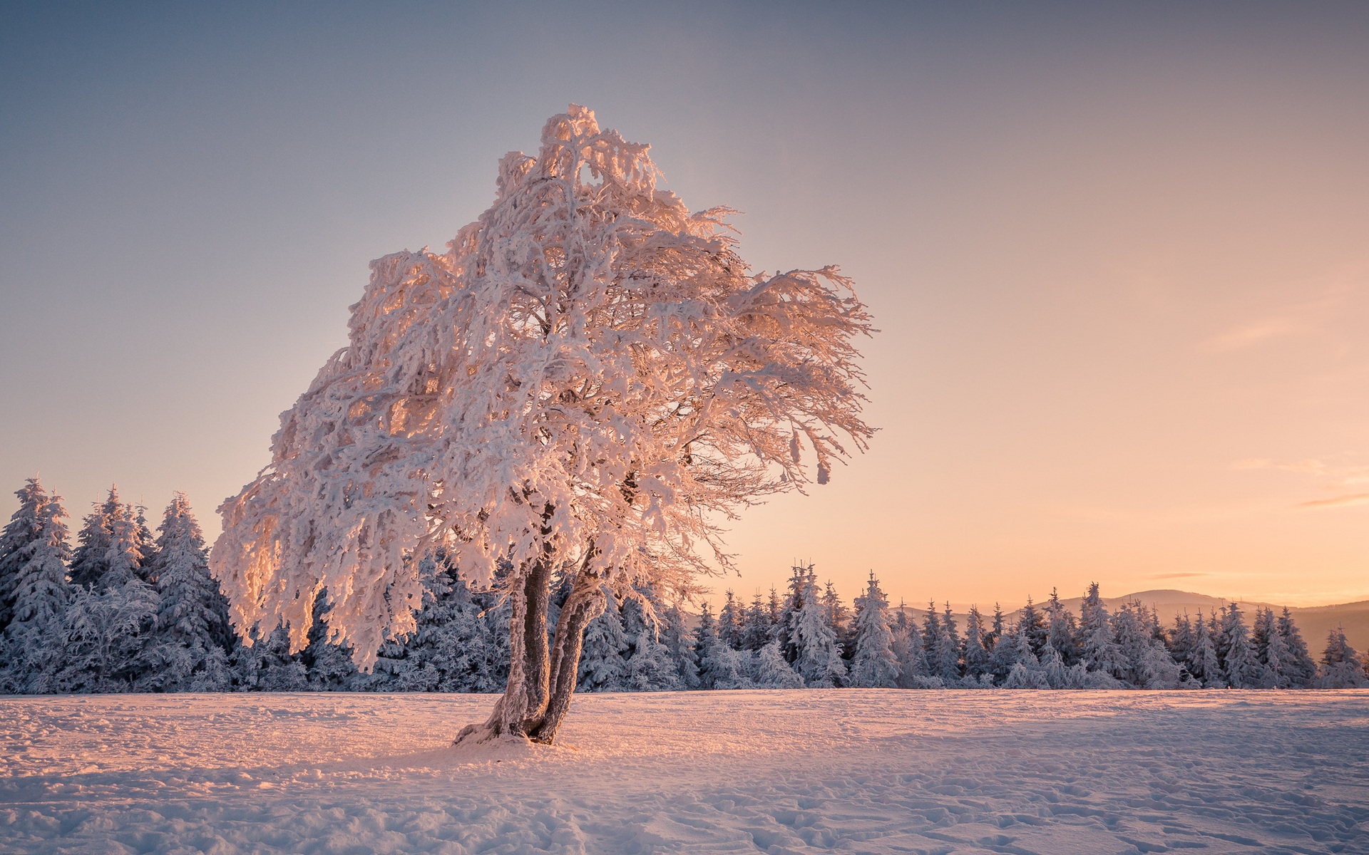 Агарган таңда ырыскы бар, Ар таңда артсын ырыскыңар. Кутман таң, окурманым!