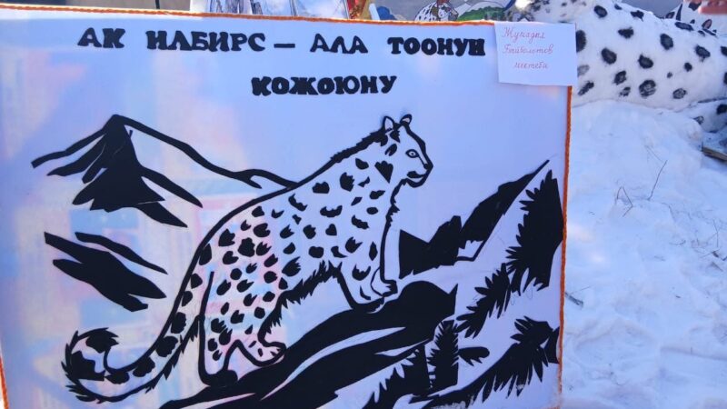 Жети-Өгүздө “Ак илбирсти коргоо – 2026” фестивалы болуп өттү
