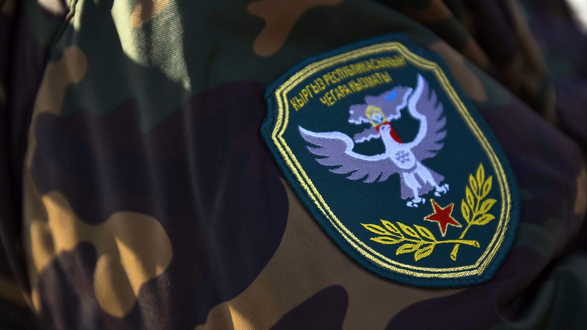 Чек ара кызматы менен Мамлекеттик күзөт кызматы УКМКнын курамынан чыгарылды