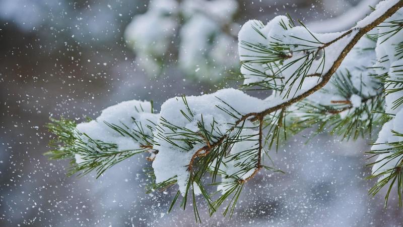 Дүйшөмбүдө жаңы дем менен баскан ар бир кадамыңыз ийгиликтүү болсун. Кутман таң, окурман!