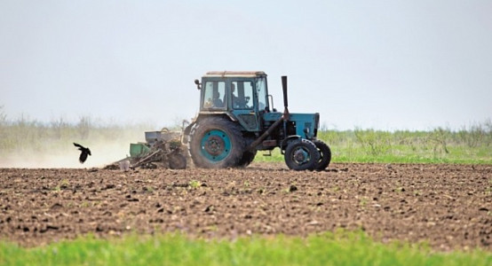 Жазгы талаа-иштерин өз убагында баштоо үчүн бензиндин баасы төмөндөтүлдү