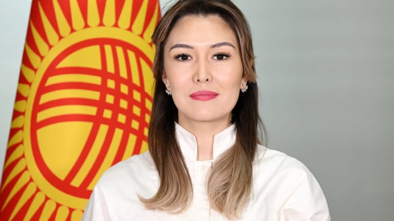 Минура Абдыкалыкова ЖК Төрагасынын басма сөз катчысы болуп дайындалды