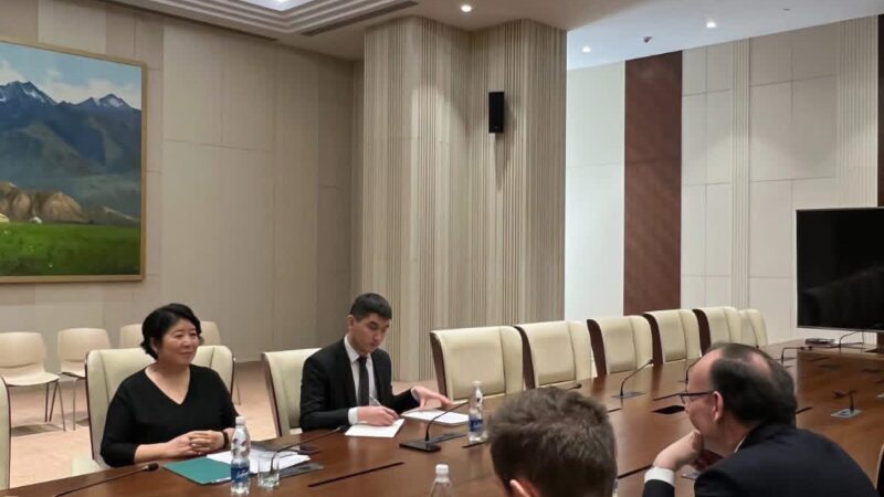 Президенттин атайын өкүлү ЕККУнун Бишкектеги Программалык кеңсесинин башчысы менен жолугушту