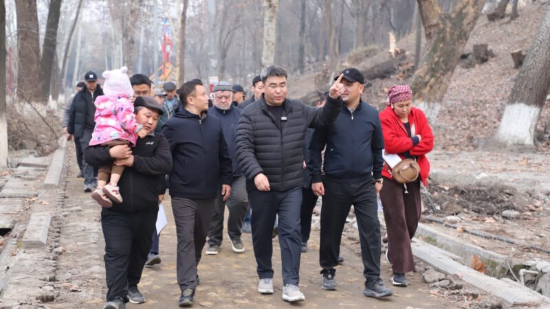 Жанар Акаев А.Навои атындагы парктагы ишкерлердин маселелерин жеринде укту