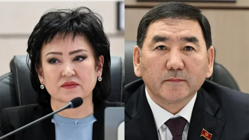 Жогорку Кеңештин эки комитетине жаңы төрагалар шайланды