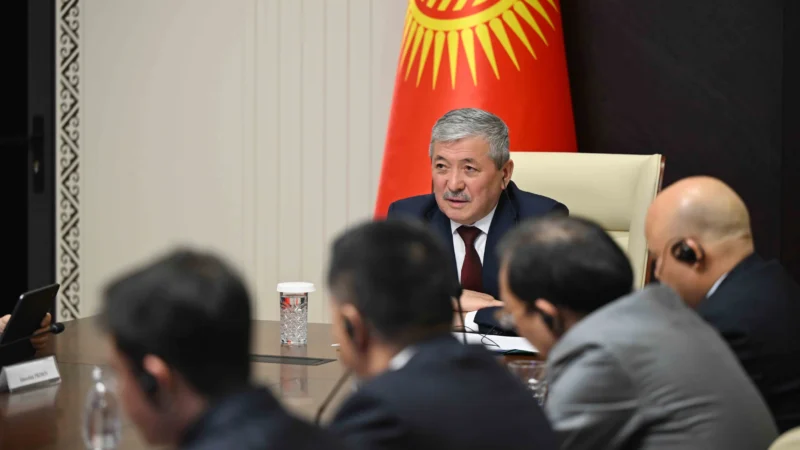 Кытайлык компания Кыргызстандын энергетика, туризм багытын инвестициялоого кызыкдар