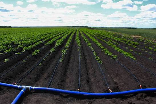 Баткенде 100 гектар жерге заманбап тамчылатып суугаруу системасы орнотулду