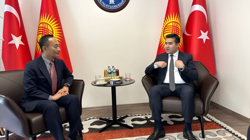 Чыңгыз Токтобеков Япониянын Стамбулдагы Башкы консулу менен жолугушту