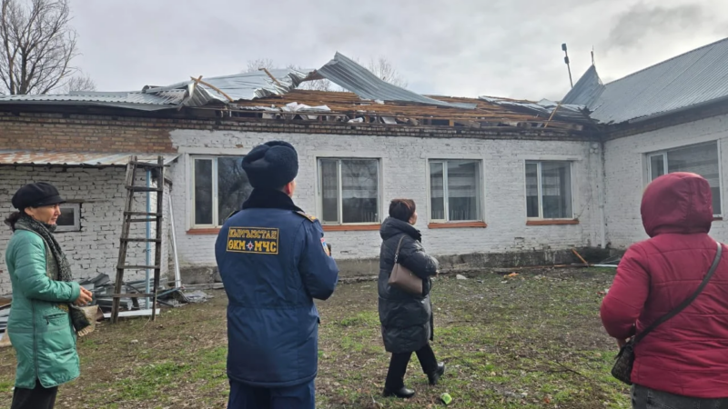 Бишкекте катуу шамал чатырларды учуруп, бактарды кулатты