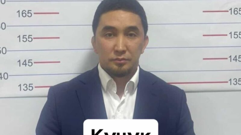 «Күчүк» каймана аты менен таанымал Айбек Ташматов камакка алынганы айтылууда