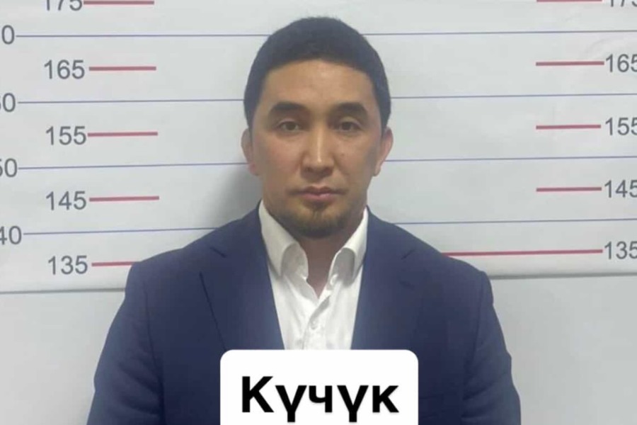 «Күчүк» каймана аты менен таанымал Айбек Ташматов камакка алынганы айтылууда