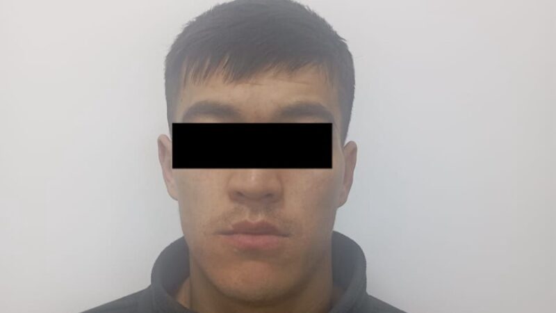 Чүйдө малчы 50 музоону сатып, онлайн казиного уттуруп жиберген