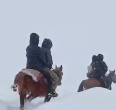 Тогуз-Тородо кардын калыңдыгына карабай олимпиадага бараткан окуучулардын видеосу тарады