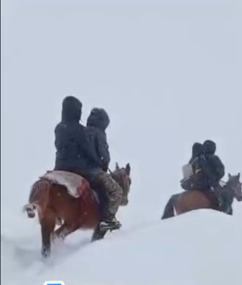 Тогуз-Тородо кардын калыңдыгына карабай олимпиадага бараткан окуучулардын видеосу тарады