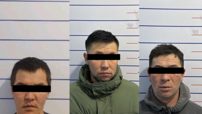 Көчөдөгү чатакташууда жаракат алган жаран 12-февралдан бери комада жатат