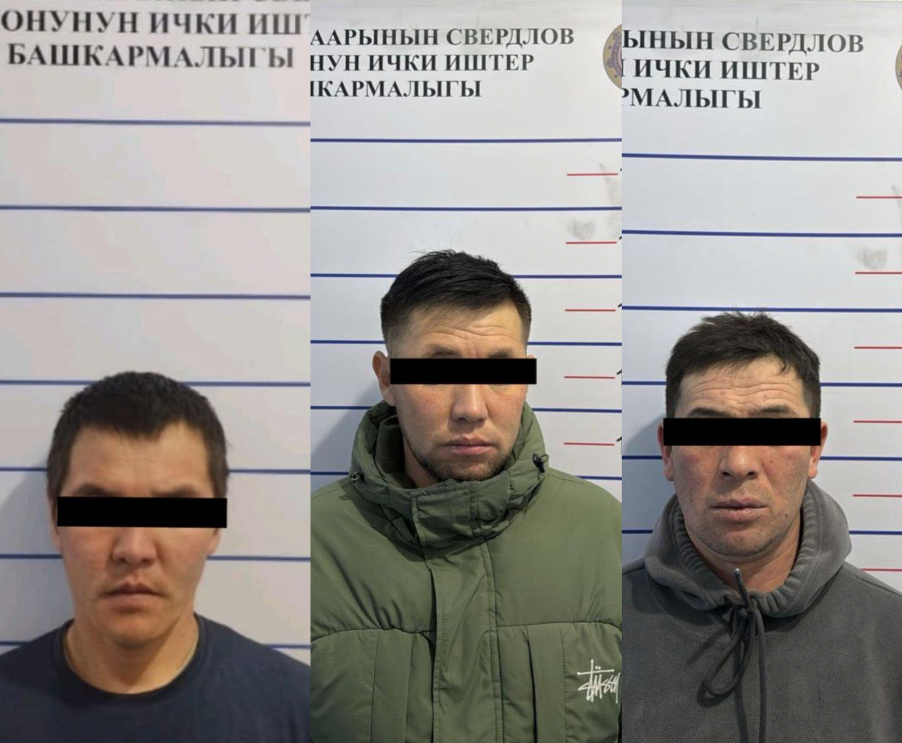 Көчөдөгү чатакташууда жаракат алган жаран 12-февралдан бери комада жатат