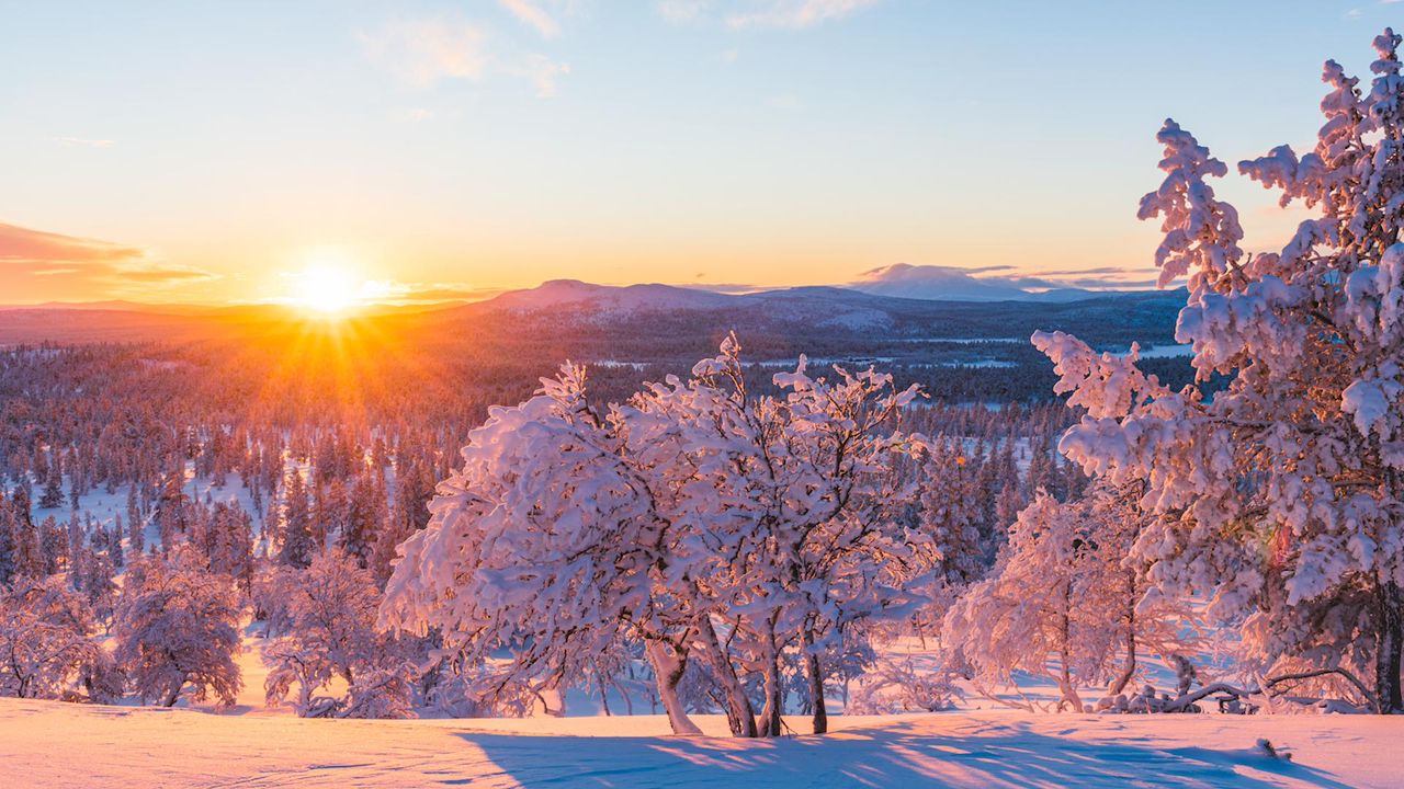 Жашоо бул – ийгиликке жетүү үчүн нечендеген күрөшүүнү талап кылган керемет саякат. Кутман таң, окурманым!