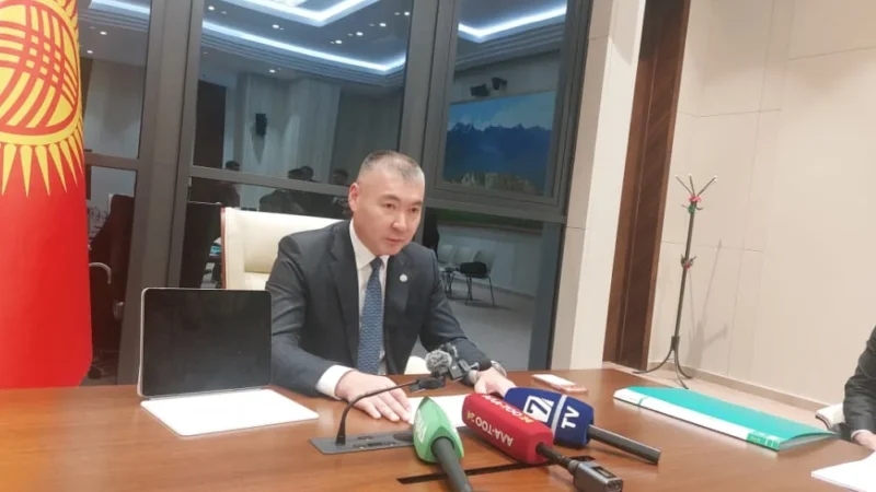 Бүгүндөн тарта автомектерге кабыл алуу башталат