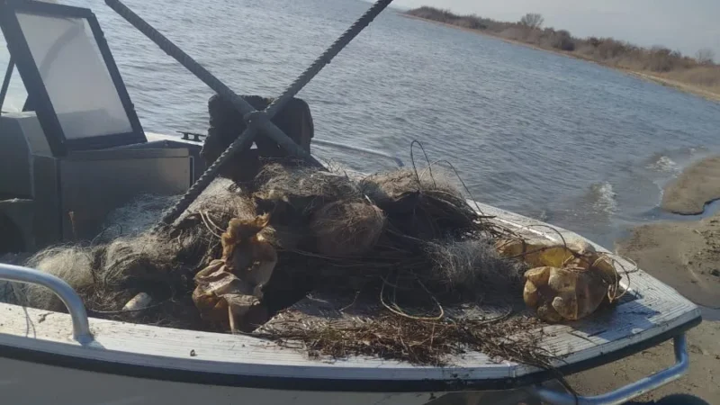 Ысык-Көлдө 500 метр тор алынды