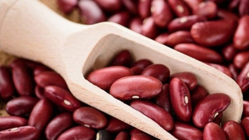 Кыргызстан Пакистанга буурчак экспортун көбөйтөт