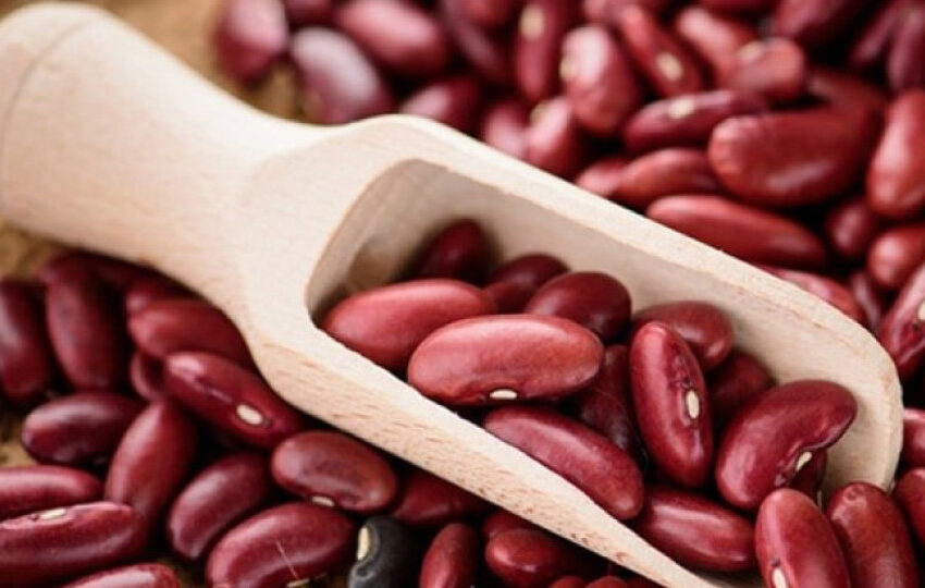 Кыргызстан Пакистанга буурчак экспортун көбөйтөт