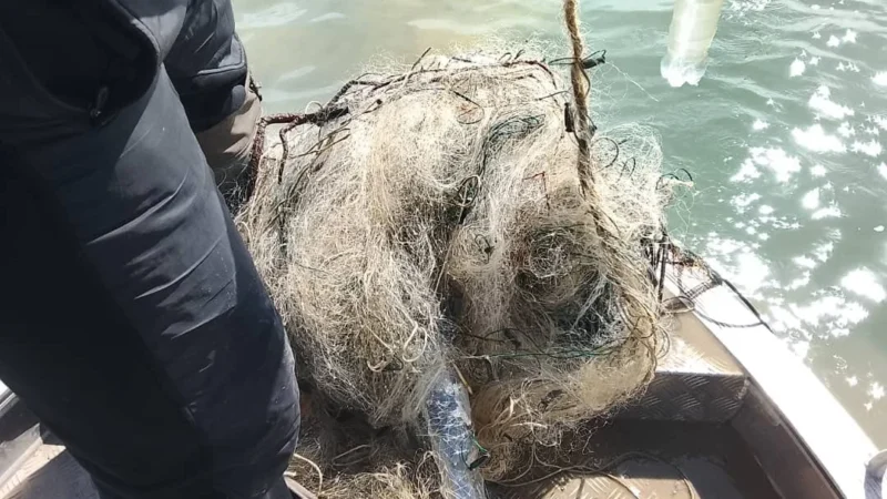 Ысык-Көлдөн 400 метр мыйзамсыз балык уулоочу тор чыгарылды