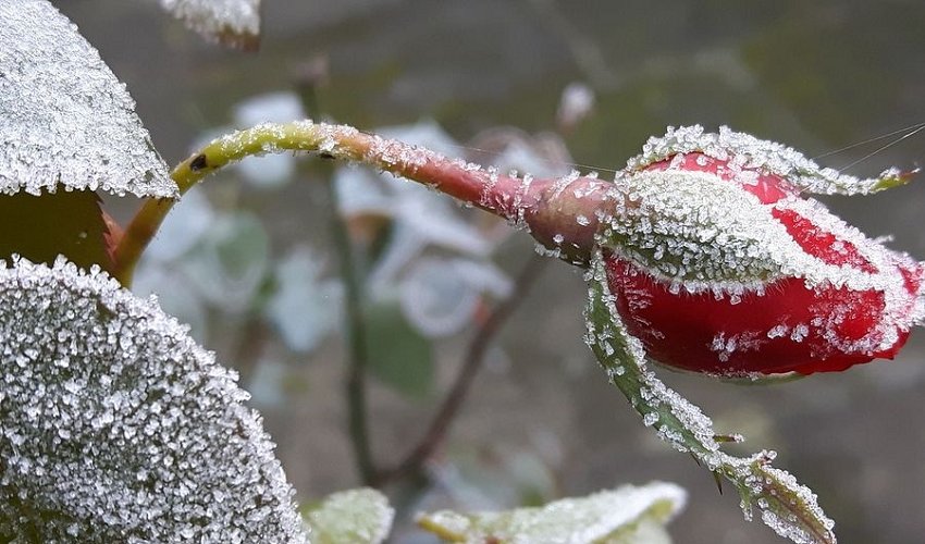 Аба ырайы кескин өзгөрүп, -28 градуска чейин суук күтүлөт