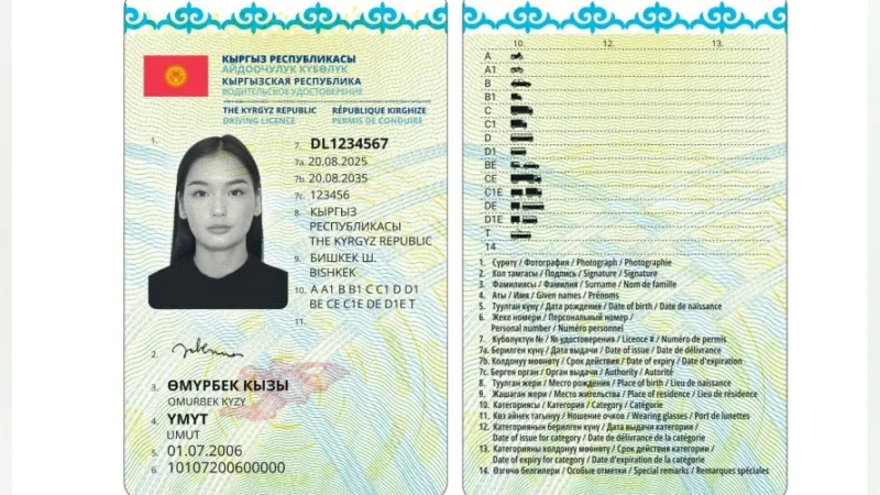 Кыргызстанда айдоочулук күбөлүктү 3 сааттын ичинде алууга мүмкүн болот