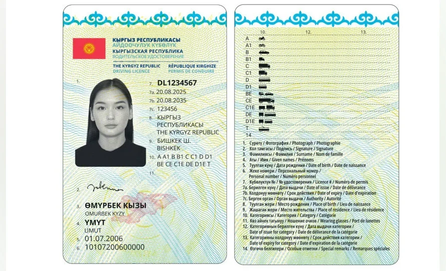 Кыргызстанда айдоочулук күбөлүктү 3 сааттын ичинде алууга мүмкүн болот