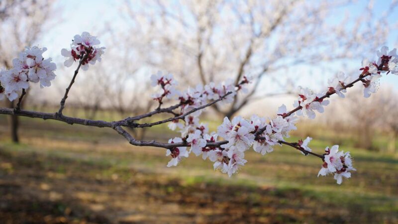 Бакыттын башаты — бар нерсеге топук кылуу! Эс алуу күнүңүздөр жакшы өтсүн!
