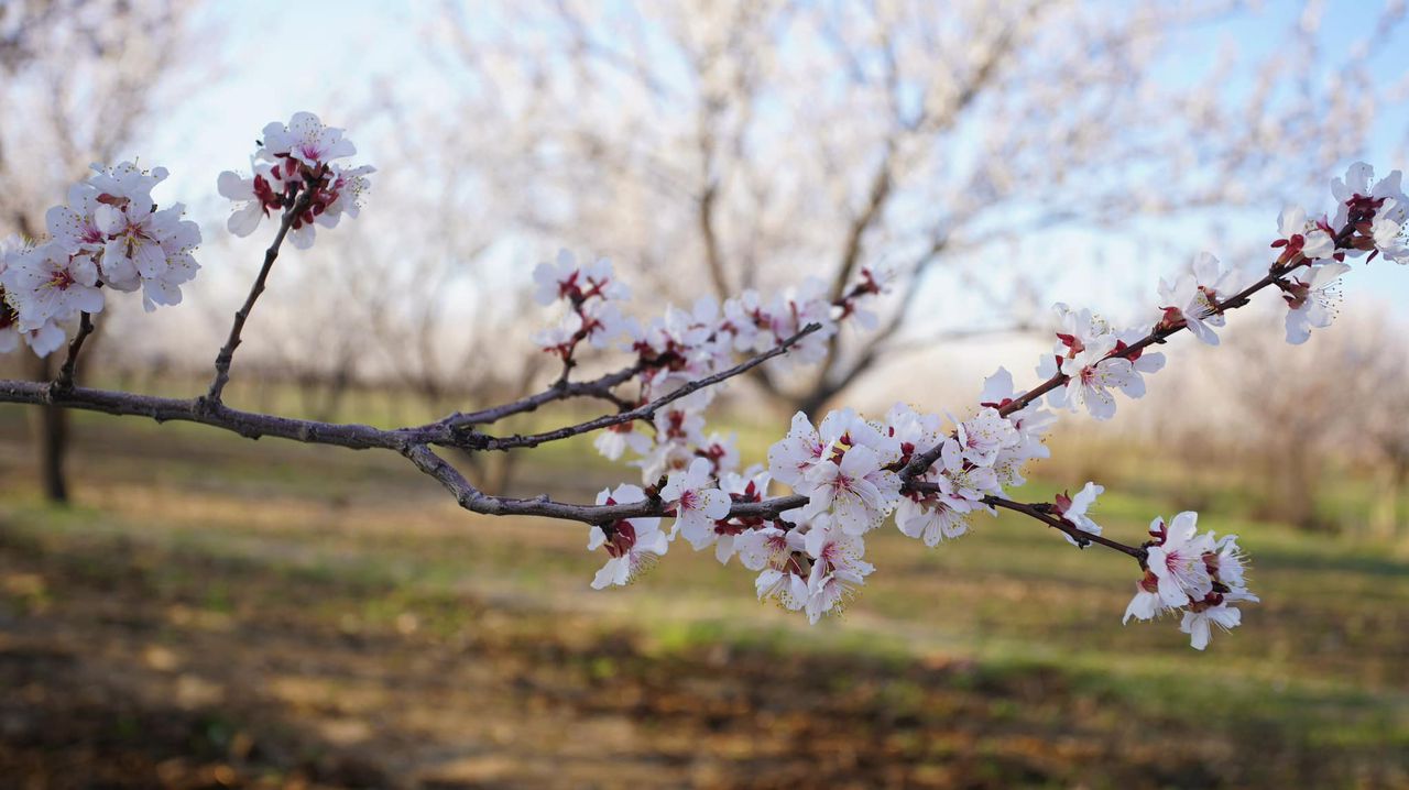 Бакыттын башаты — бар нерсеге топук кылуу! Эс алуу күнүңүздөр жакшы өтсүн!