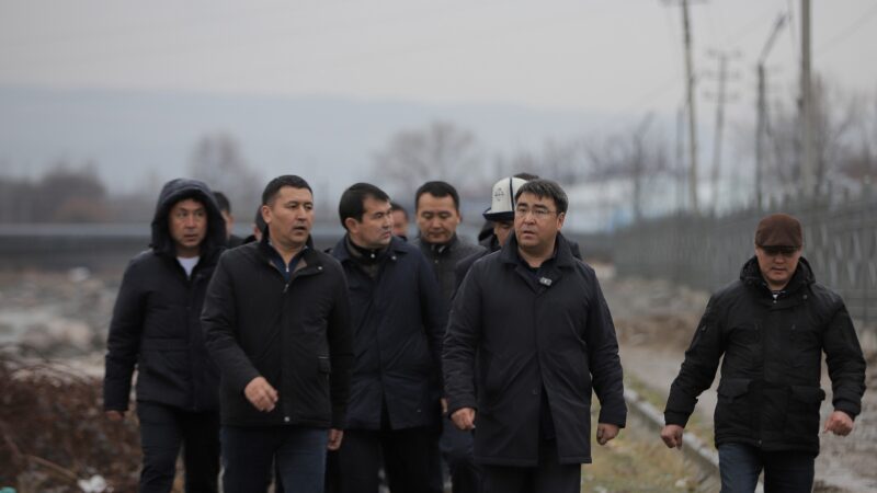 Ак-Буура дарыясынын жээгине 10 гектардан ашуун жерге сейил бак курулат