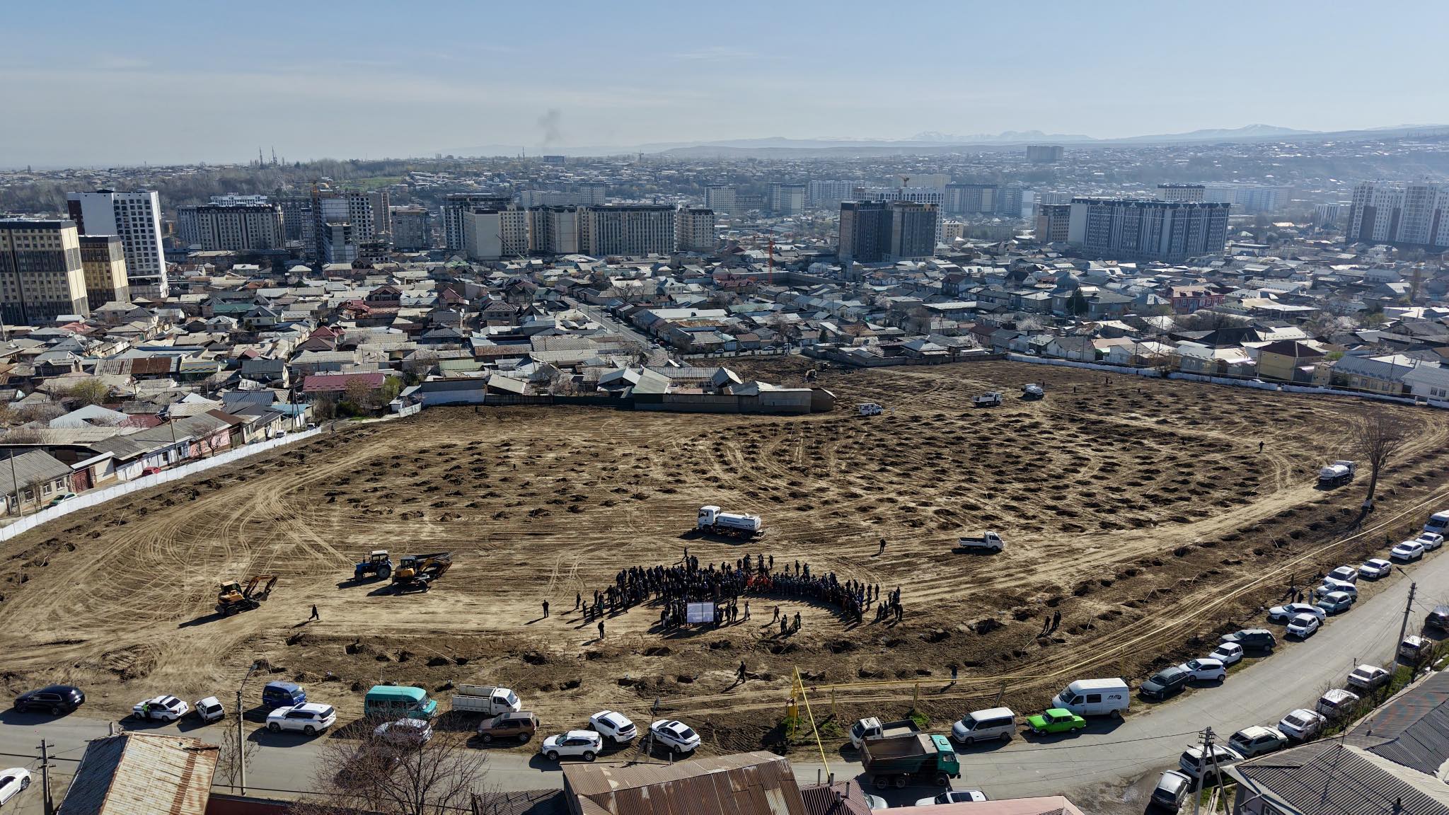 Ош шаарында көрүстөндүн ордуна 1,3 миң түп көчөт отургузулду