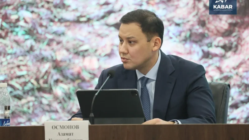 Азамат Осмонов Чүй облусундагы ыйгарым укуктуу өкүлү кызматынан бошотулду