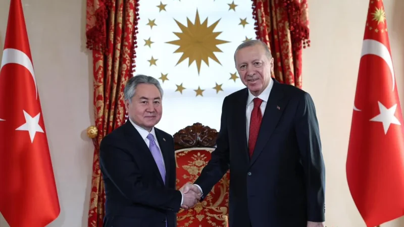 Режеп Тайып Эрдоган ТМУга мүчө мамлекеттердин тышкы иштер министрлерин кабыл алды