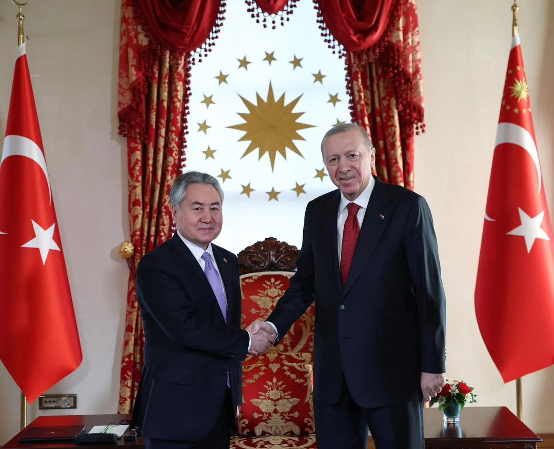 Режеп Тайып Эрдоган ТМУга мүчө мамлекеттердин тышкы иштер министрлерин кабыл алды