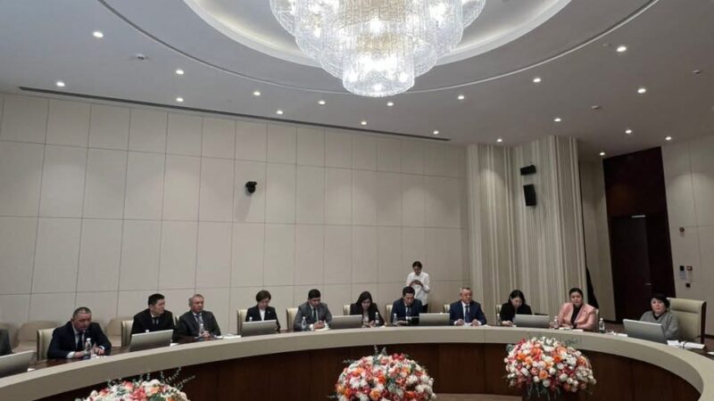 Президенттин Администрациясында тоолуу аймактарды өнүктүрүү боюнча кеңешме өттү