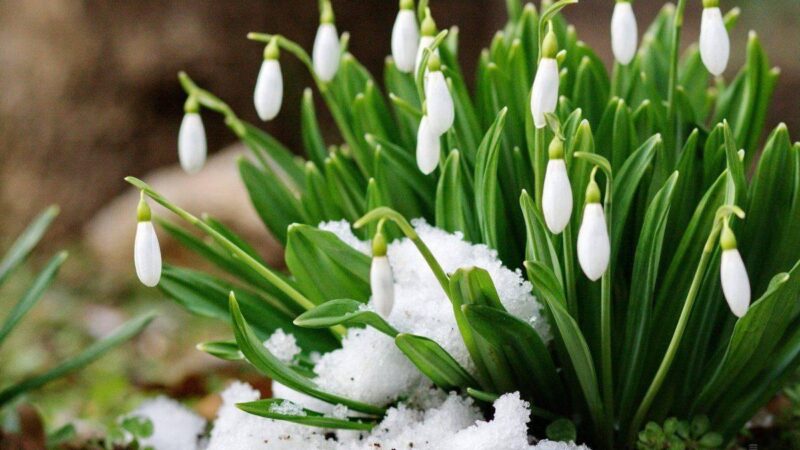 Жакшы иште жарышалы, окурман! 22-мартка карата аба-ырайы