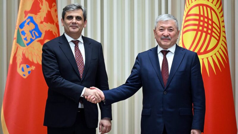 Касымалиев Черногориянын тышкы иштер министри Эрвин Ибрагимович менен жолугушту