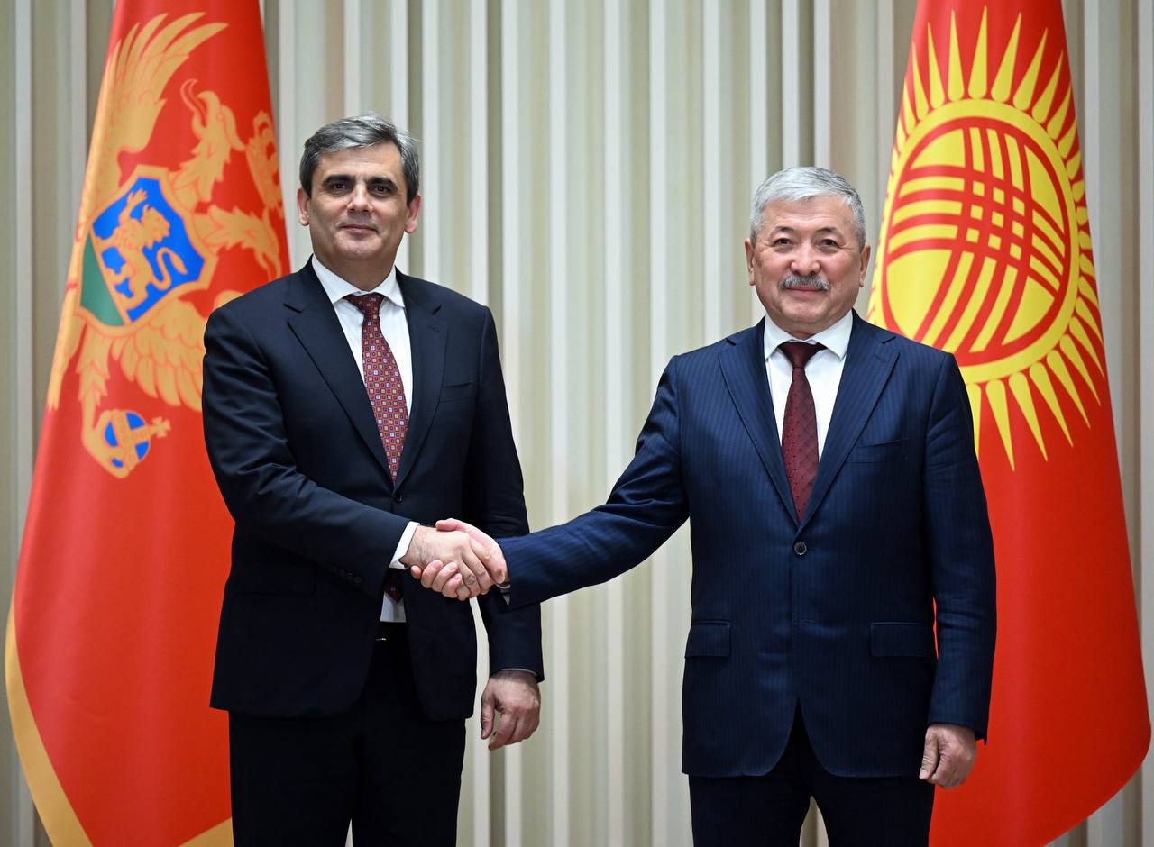 Касымалиев Черногориянын тышкы иштер министри Эрвин Ибрагимович менен жолугушту