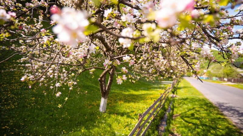 Жаздай жаңылан! Кечээки күмөндөрдү калтыр дагы, бүгүн өзүңө ишен! Кутман таң, замандаш!